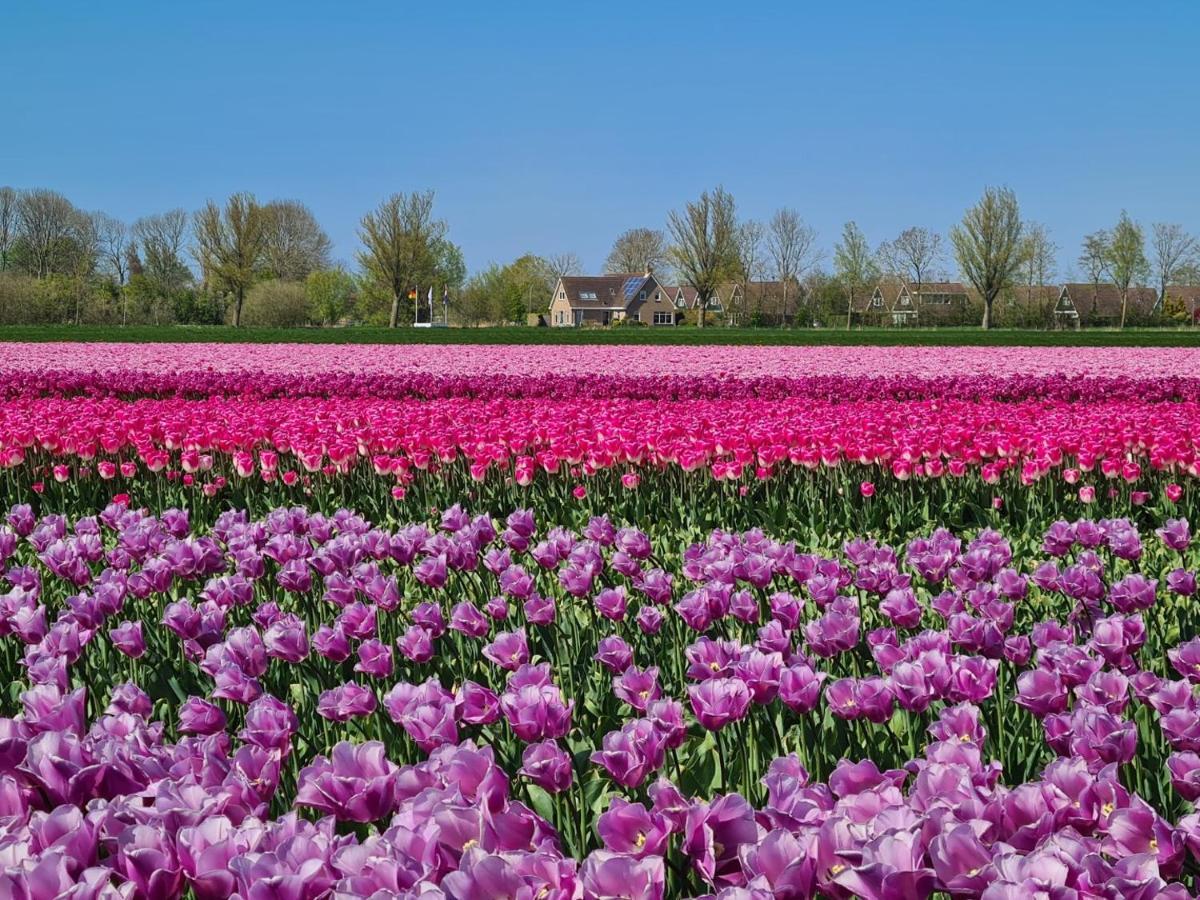 556 Op Recreatiepark De Wielen Sint Maarten
